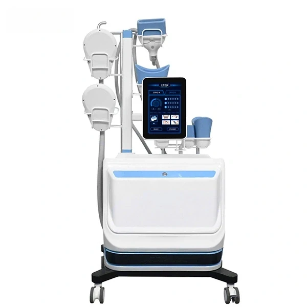 2-in-1 EMS & Cryo Machine